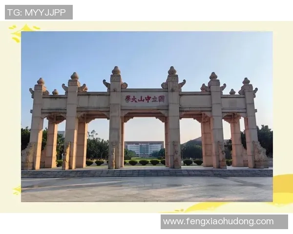 广州排球队防反战术创新探索与实践全景解析