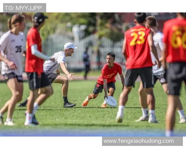 成都飞盘队实力强劲荣登全国个人能力排行榜第二名MBA