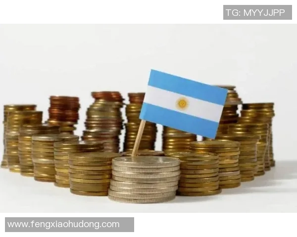 美国与阿根廷经济文化对比分析数据探讨与启示