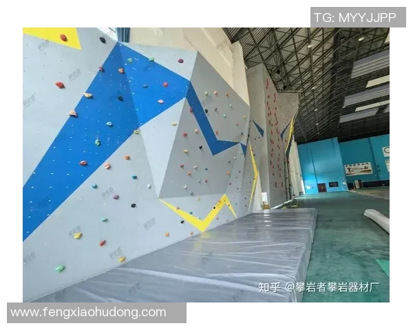 科学攀岩中的心理素质提升策略与训练方法探讨