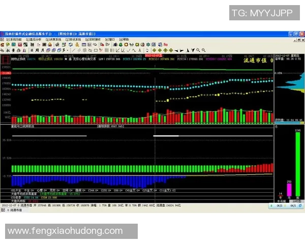 V5战队转型之路全景回顾：从崛起到再出发的冠军杯之旅