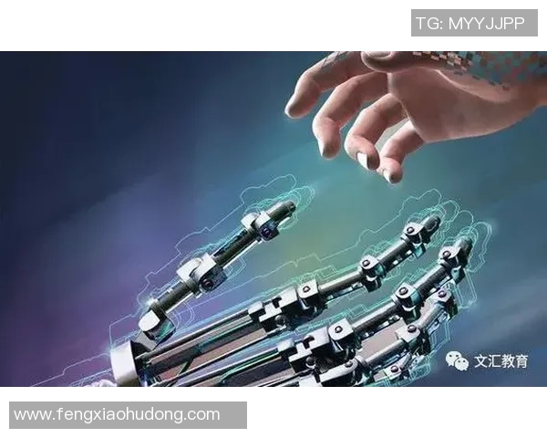 深圳排球队团队协作创新之路：热议排球背后的变革与挑战