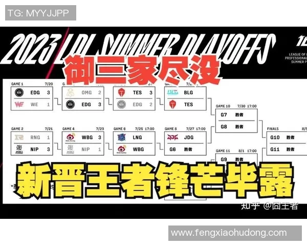 英雄联盟热点分析：深入解读LNG战队在赛季中的角色转换与表现变化